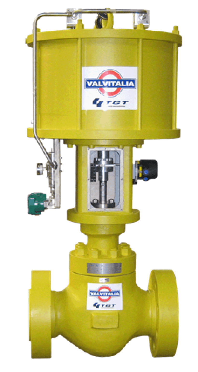 Valvitalia Globe Control Valve LTG4 Series Flocontrol